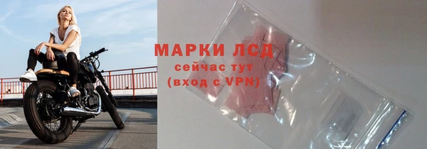 сатива Богданович