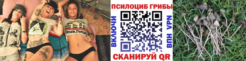 Галлюциногенные грибы прущие грибы  Нижневартовск 